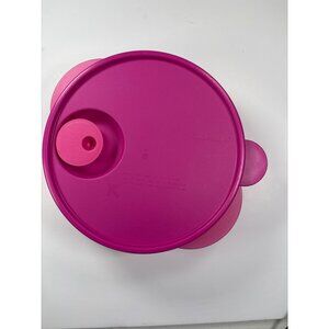 Tupperware Pink Microwaveable Divided Bowl With Lid